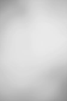 light grey background